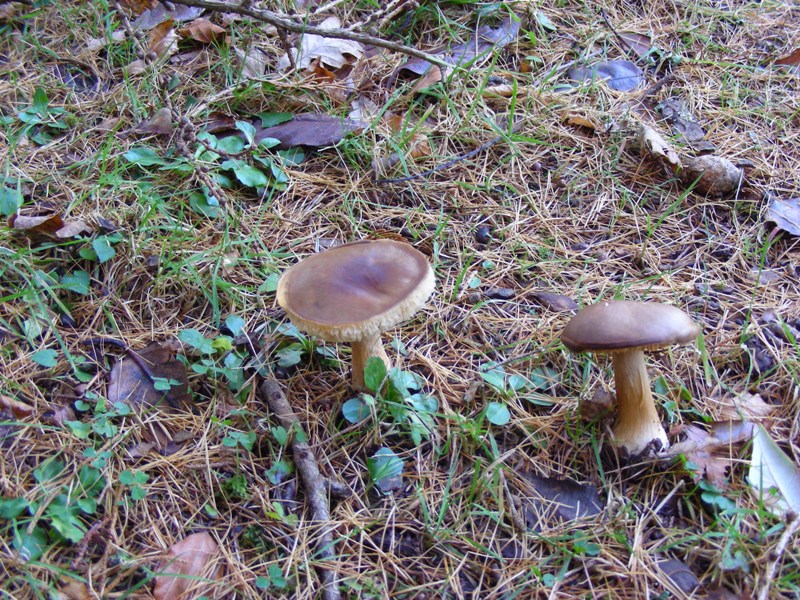 p16.JPG