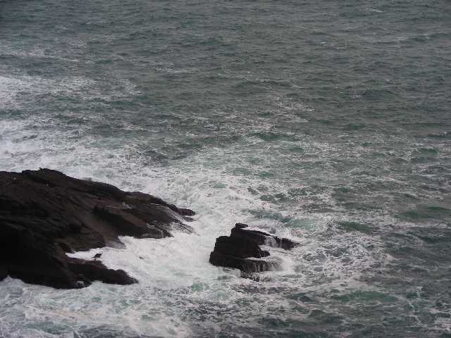 2-dingle50.jpg