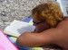 volný čas na pláži - reading.jpg